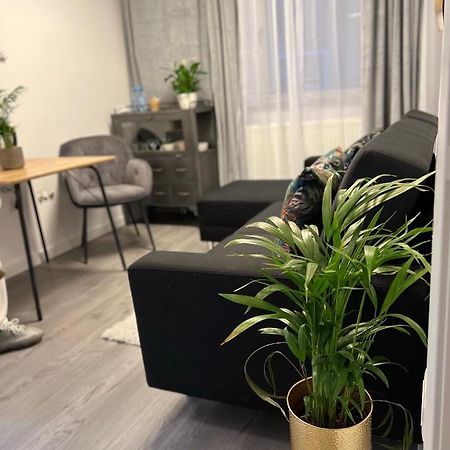 Musai Apartment 布拉索夫 外观 照片