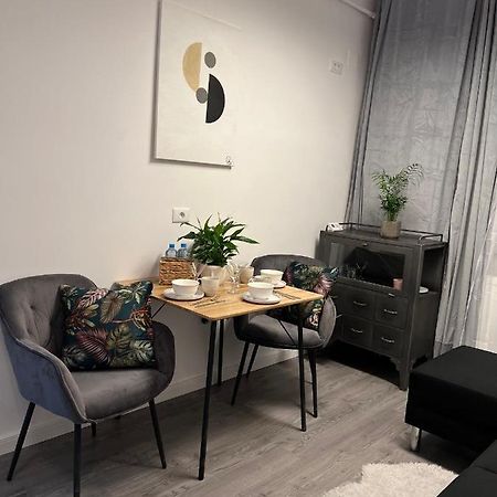 Musai Apartment 布拉索夫 外观 照片