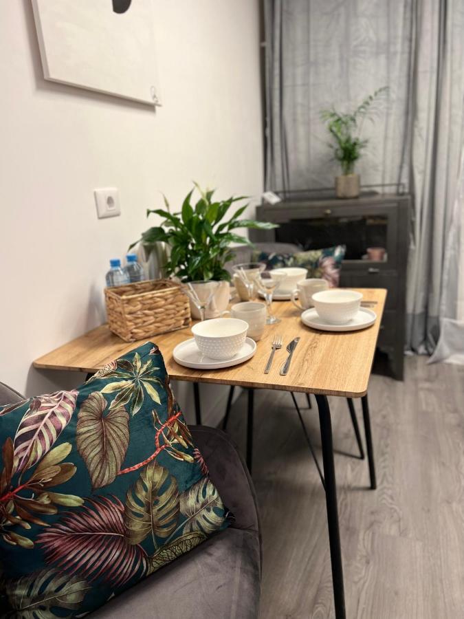 Musai Apartment 布拉索夫 外观 照片
